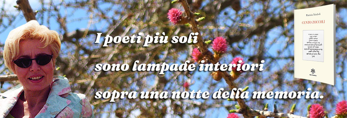 “CENTO ZOCCOLI”, di Patrizia Trimboli, De Piante Editore
